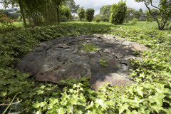 TierraQuebrada-TierraVerdeDiametro250