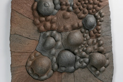 PlacadePared-Camaleon