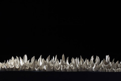 1PoloNortePorcelanaAustraliana2013-2014