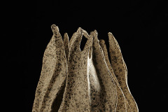 Alga Porcelana Con Manganeso 2013