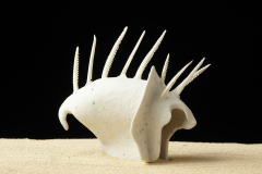 Bicho en el Nicho Porcelana y Elementos Encontrados 2009