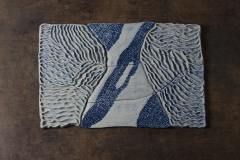 Colonia De Briozoo Porcelana Con Cobalto 2013