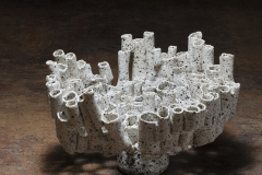 Coral Porcelana Con Manganeso 2012