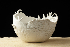 Domingo En La Tarde Porcelana 2009