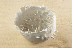 Experimento Concluido Porcelana y fragmentos vidrio  2009