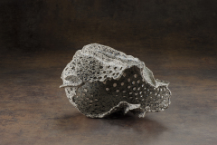 Ondulante Y Perforada 2 Porcelana Con Manganeso 2013