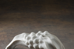 Pulpo Macho Porcelana Benett 2013