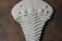 Trilobite Porcelana 2013