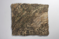 PlacadeParedFragmentoFosil